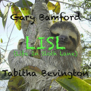 Single cover for LISL